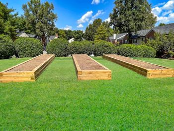 Community gardens